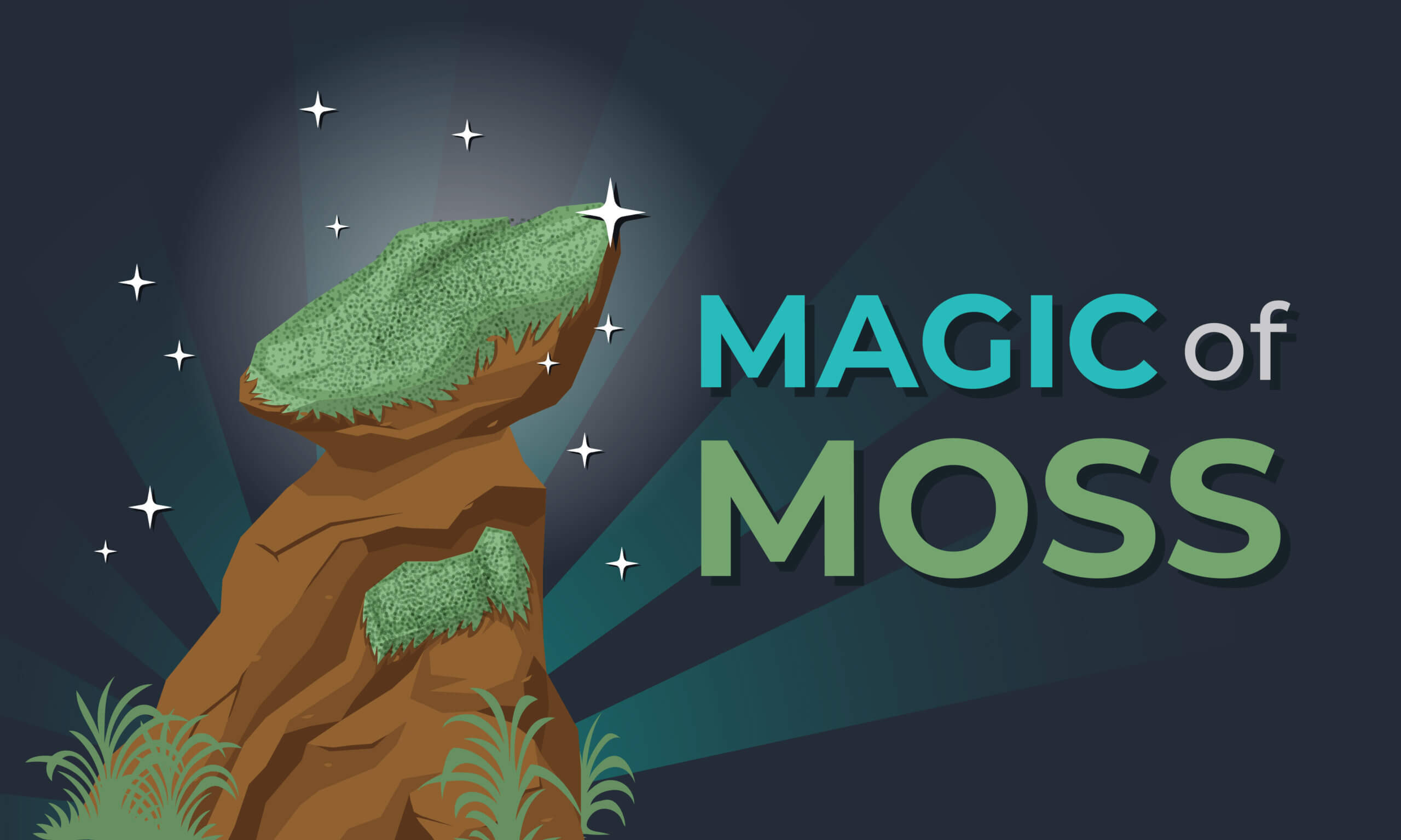 Magic of Moss