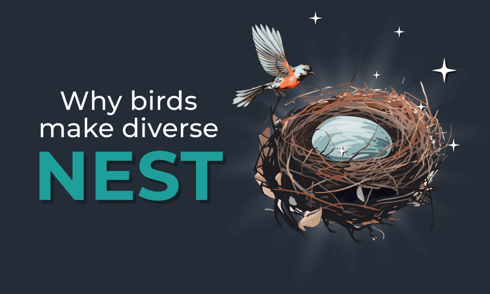Why birds make diverse nest