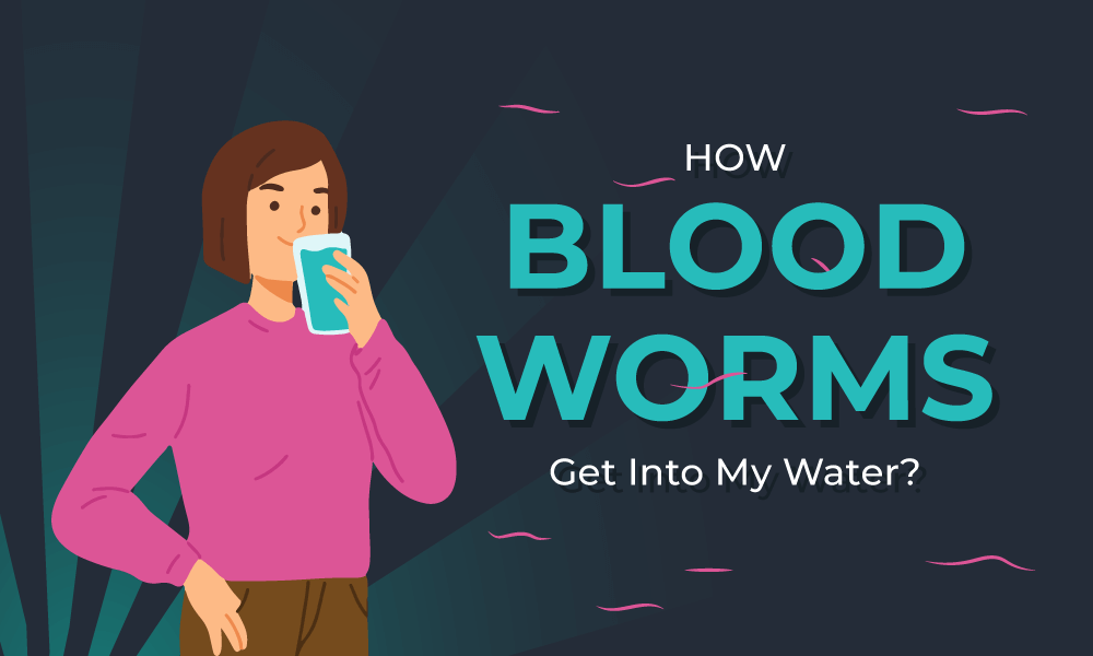 how-bloodworm-get-into-my-water
