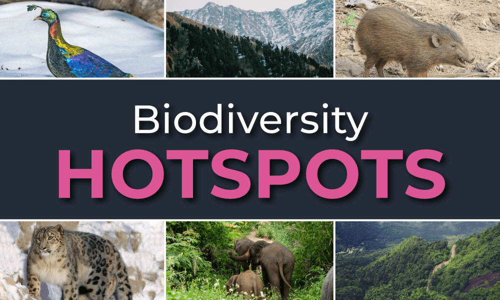 What-are-Biodiversity-hotspots